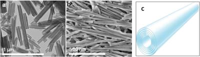 Tagged Halloysite Nanotubes as a Carrier for Intercellular Delivery in Brain Microvascular Endothelium